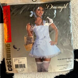 Dreamgirl gingham & white Dorothy dress NEW size XL